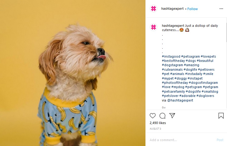 Customize hashtags for targeting your segmented audience like you see Hashtag Expert doing on Instagram.