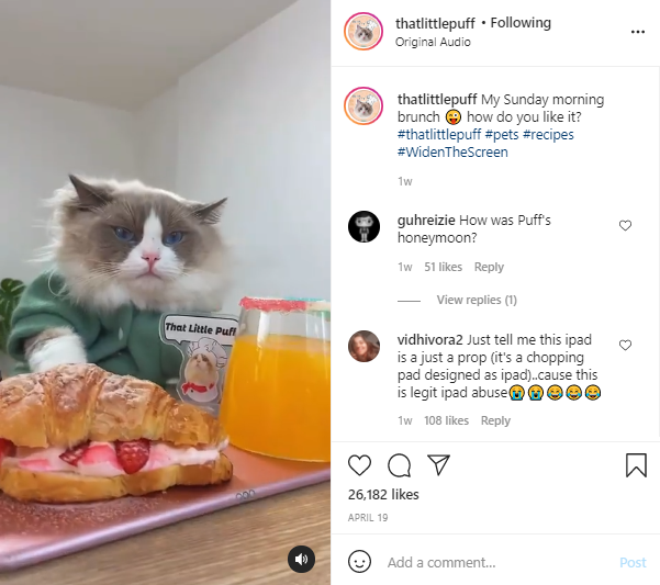 That Little Puff and their branded hashtag on Instagram